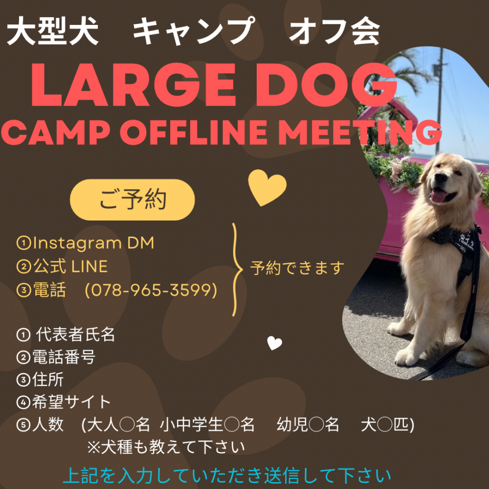 大型犬キャンプオフ会🐾