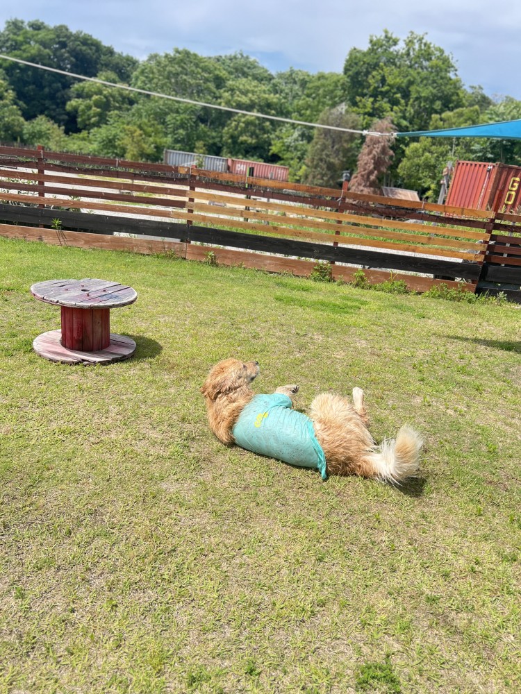 ワンコインDAY