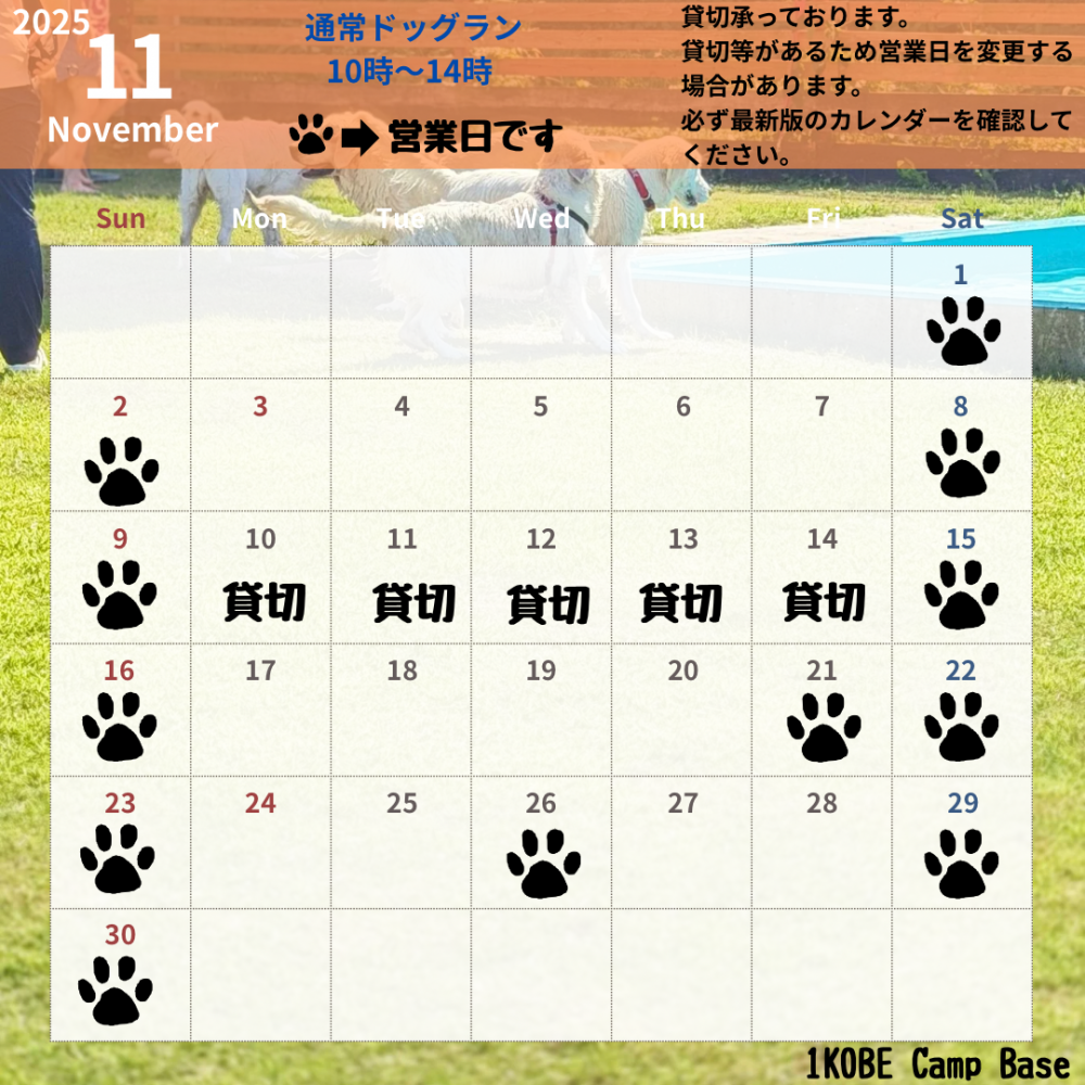 11月ドッグラン営業日