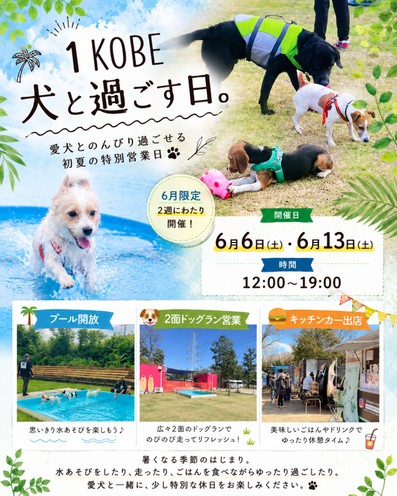1KOBE 犬と過ごす日。