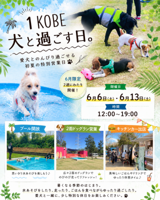 1KOBE 犬と過ごす日。