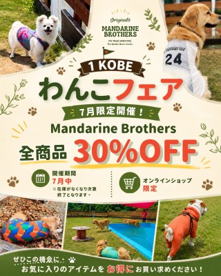 わんこフェア